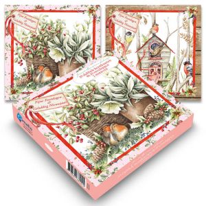 janneke-brinkman-doosje-kerstkaarten-4-vogels-bij-mand-vogelhuisje-10935015