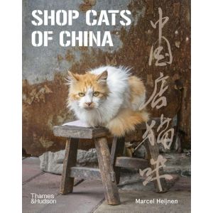 Shop Cats of China