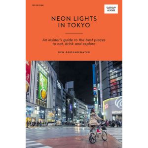 Neon Lights in Tokyo