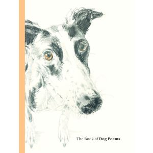 the-book-of-dog-poems-9781786279439