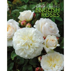 David Austin‘s English Roses