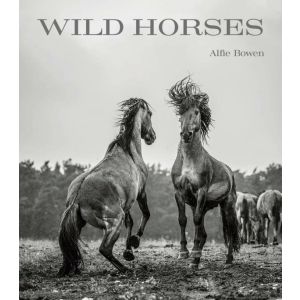 Wild Horses