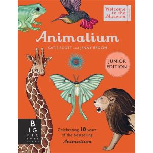 Animalium (Junior Edition)