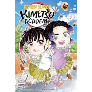 Demon Slayer: Kimetsu Academy, Vol. 3