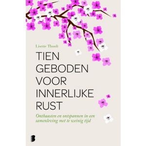 tien-geboden-voor-innerlijke-rust-9789022575253