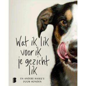 Wat ik lik voor ik je gezicht lik