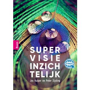 Supervisie inzichtelijk