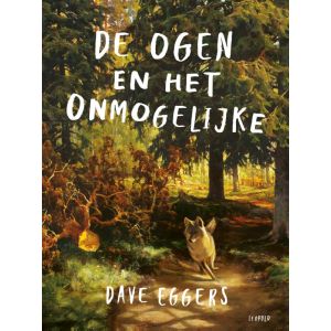 De ogen en het onmogelijke