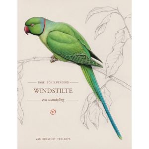 Windstilte