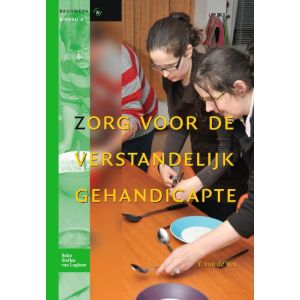 zorg-voor-de-verstandelijk-gehandicapte-9789031375356