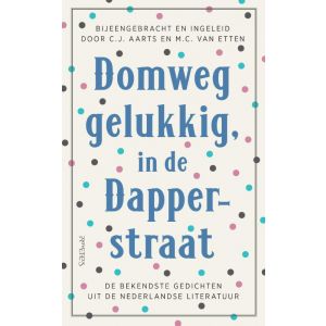 domweg-gelukkig-in-de-dapperstraat-9789044646047