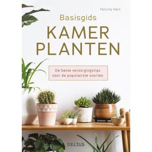 Basisgids kamerplanten