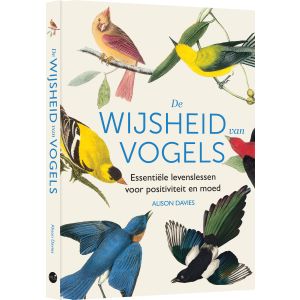 De wijsheid van vogels