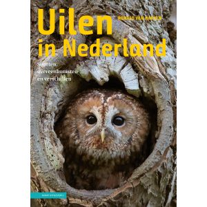 Uilen in Nederland