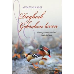 Dagboek Gebroken leven