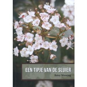 een-tipje-van-de-sluier-9789052945996