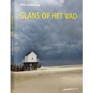 Glans op het wad