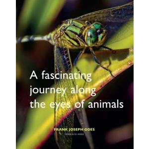 A fascinating journey along the eyes of animals