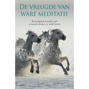 De vreugde van ware meditatie