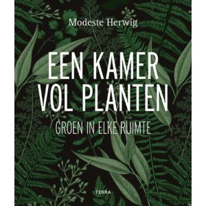 Een kamer vol planten