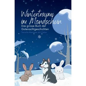 Winterträume im Mondschein