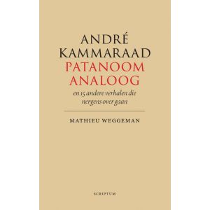 ANDRÉ KAMMARAAD, PATANOOM-ANALOOG