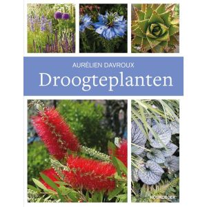 Droogteplanten