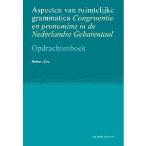 Aspecten van ruimtelijke grammatica