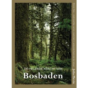 De helende kracht van bosbaden