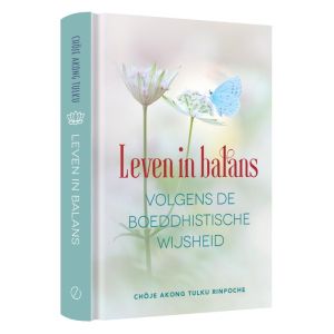 leven-in-balans-volgens-de-boeddhistische-wijsheid-9789493160972