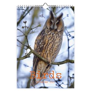 kalender-2025-birds-11328284